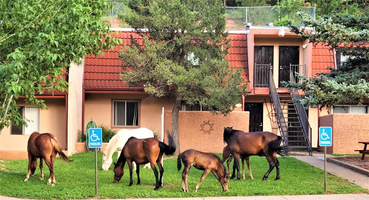 Pinecliff Village Resort Hollywood المظهر الخارجي الصورة